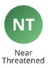 NT